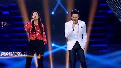 凤凰网红歌曲,探寻凤凰网红歌曲的魅力