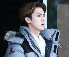 姓晏的明星,闪耀荧屏的璀璨星辰