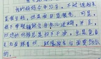 最搞笑的小学生作文,小学生作文中的欢乐瞬间
