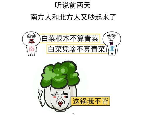 南北差异 搞笑,北方的饺子南方的粉，笑谈两地生活趣事