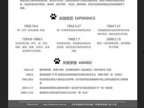 演员应聘简历,演员简历中的璀璨星途